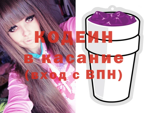 дмт Бородино