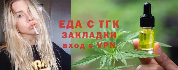 дмт Бородино