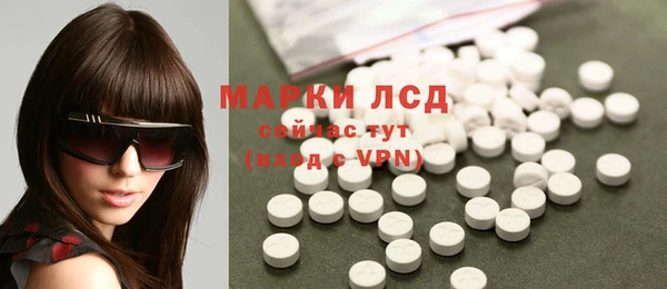 дмт Бородино
