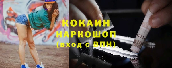 дмт Бородино