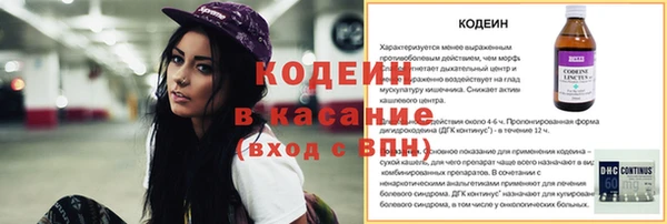 дмт Бородино