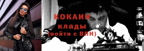 индика Бронницы