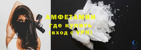 дмт Бородино