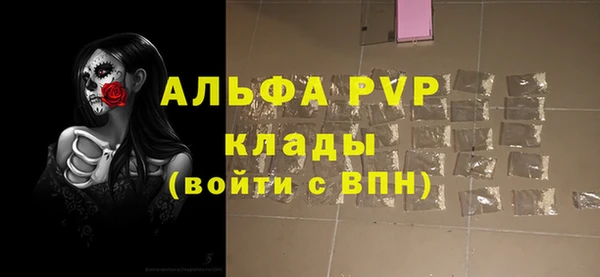 индика Бронницы