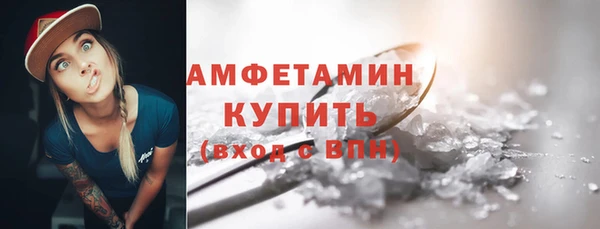 дмт Бородино