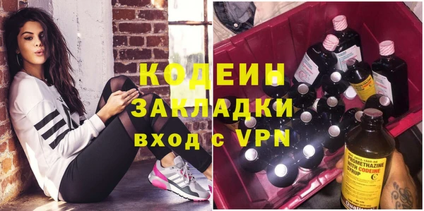 дмт Бородино