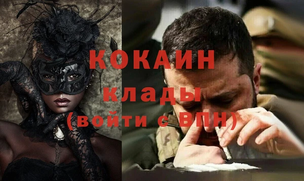 дмт Бородино