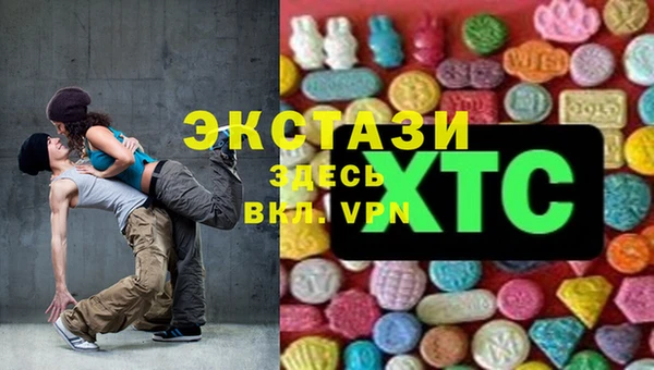 индика Бронницы