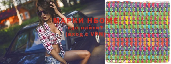 индика Бронницы