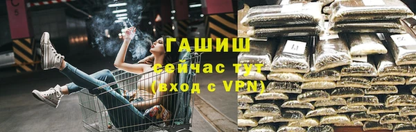 индика Бронницы