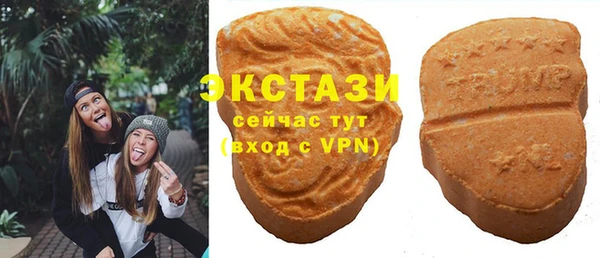 индика Бронницы