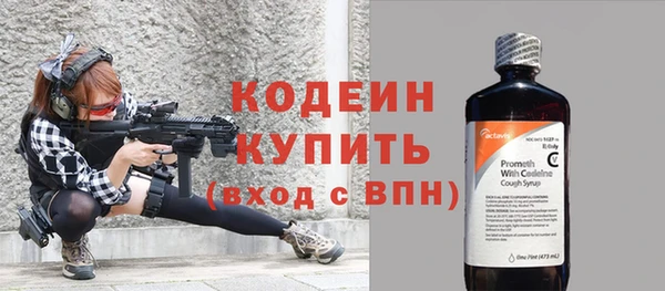 индика Бронницы