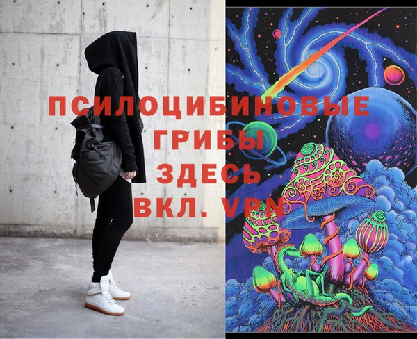 индика Бронницы