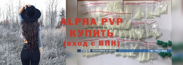 дмт Бородино