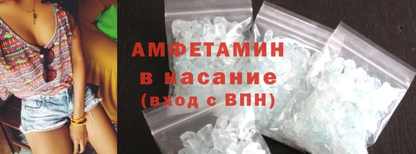 индика Бронницы