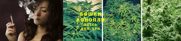 индика Бронницы
