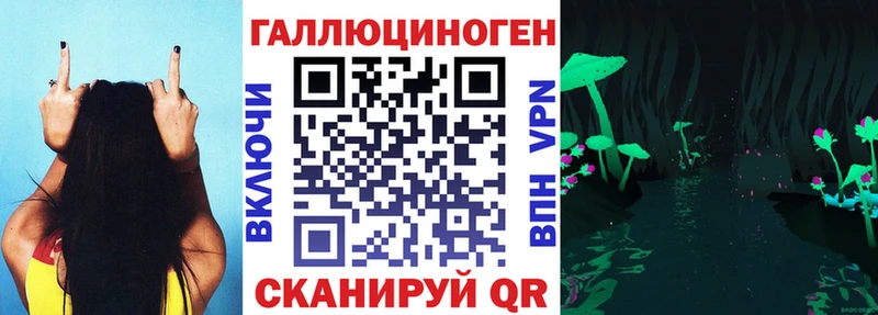 MEGA сайт  Шимановск  Галлюциногенные грибы Psilocybe 